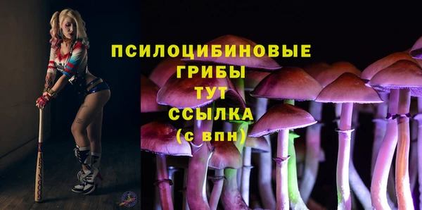 герыч Абаза