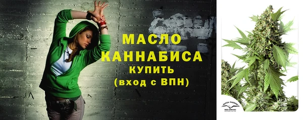 шишки Кодинск