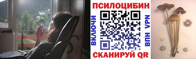 купить наркотики сайты  Бийск  Галлюциногенные грибы MAGIC MUSHROOMS 